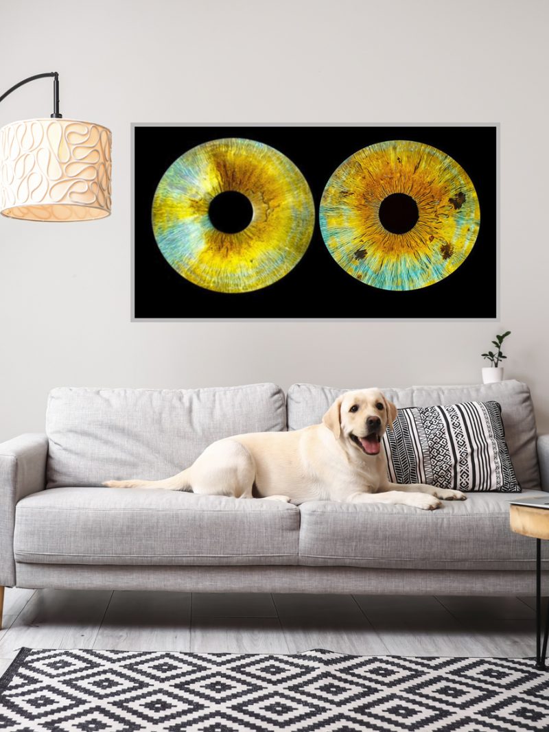 Al-Dibond 2 Iris o más-mascotas